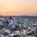 New global policy centre launched during cop26 to tackle the world’s plastic pollution problem